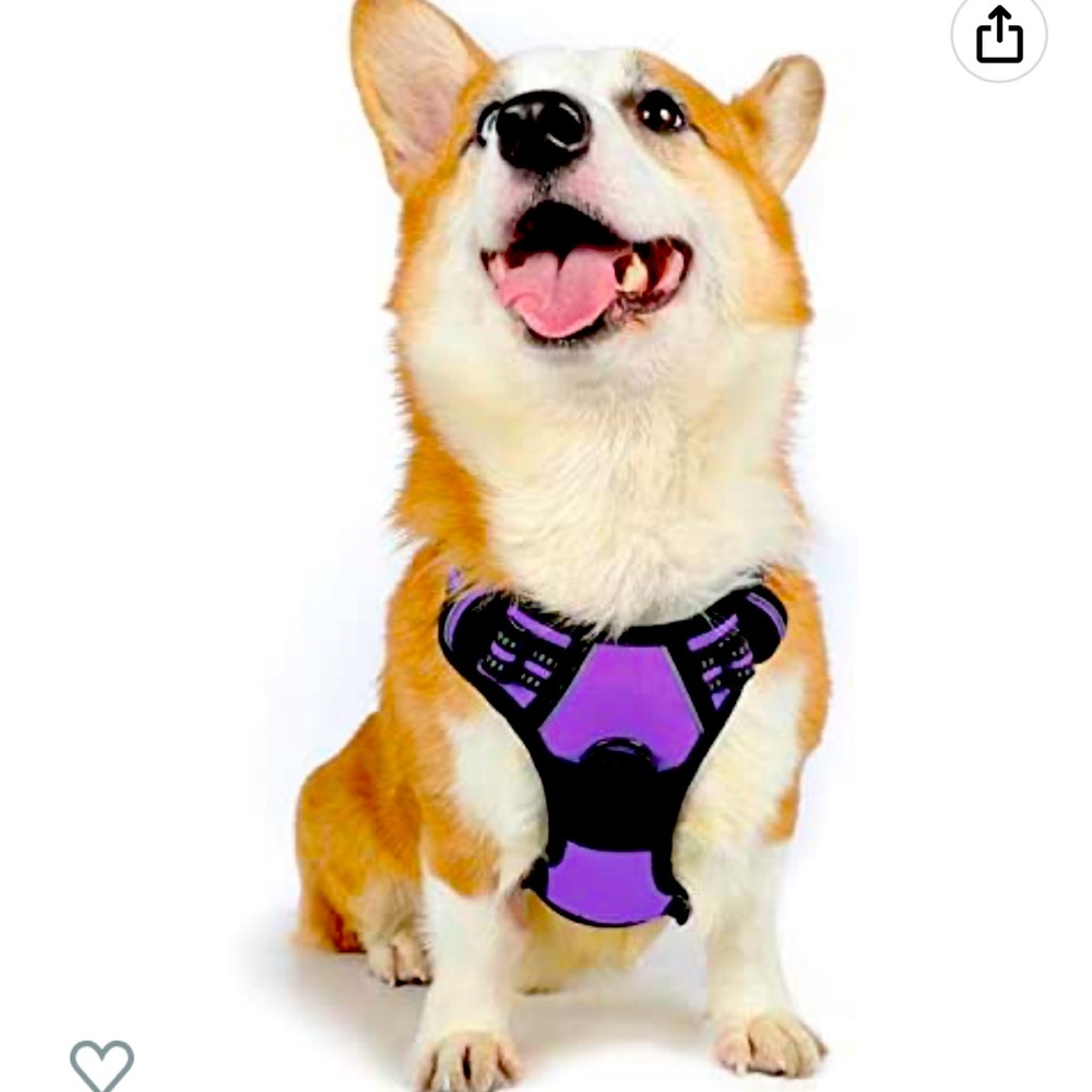 rabbitgoo Dog Harness, No-Pull Pet Harness MEDIUM